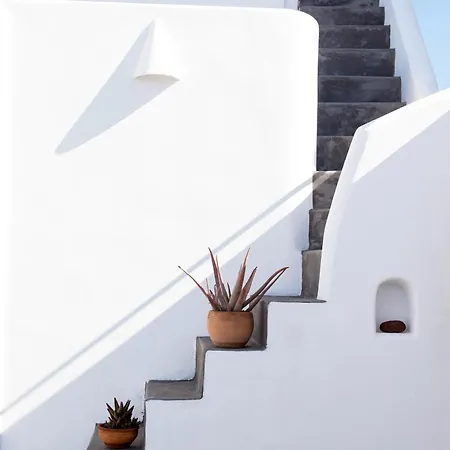 Auntie's Villa